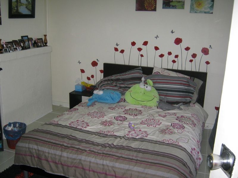 295 Canley Vale Road, Canley Heights NSW 2166