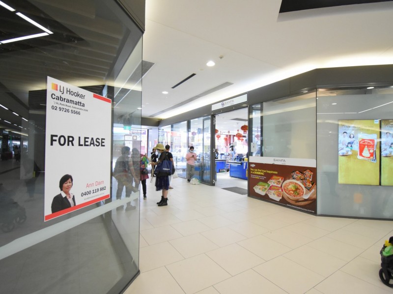 3/8 Dutton Lane, Cabramatta NSW 2166