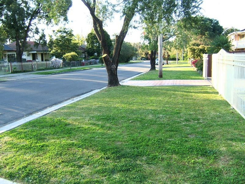 Canley Vale NSW 2166