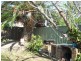 Canley Vale NSW 2166