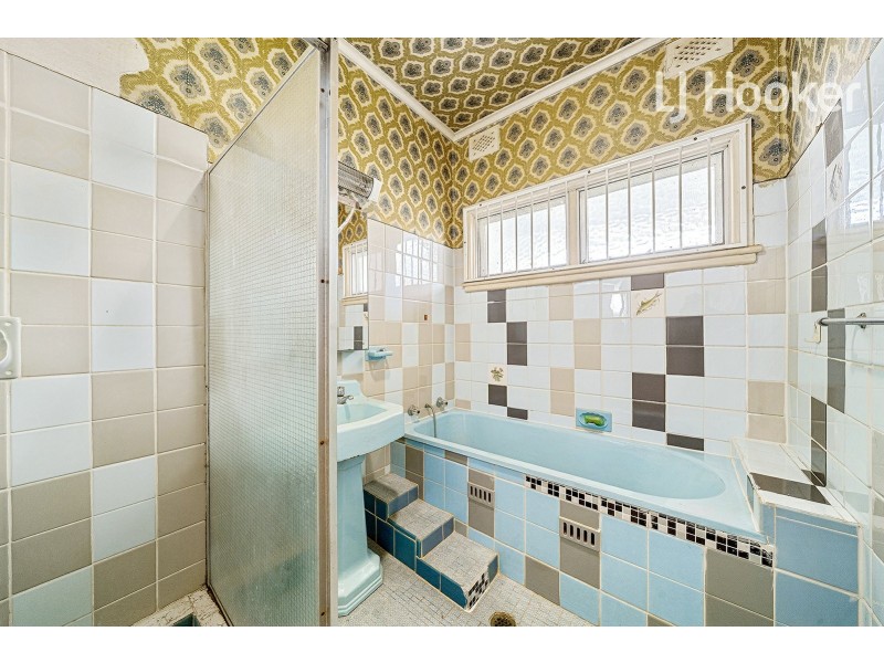 25 Torrens St, Canley Heights NSW 2166