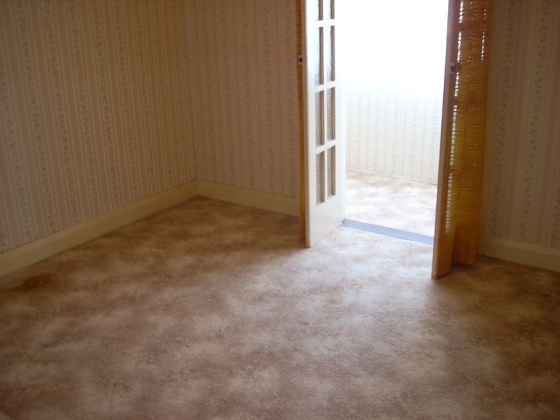 51 The Avenue, Canley Vale NSW 2166