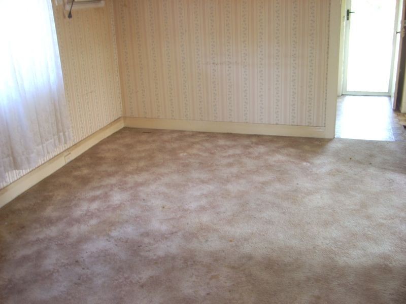 51 The Avenue, Canley Vale NSW 2166