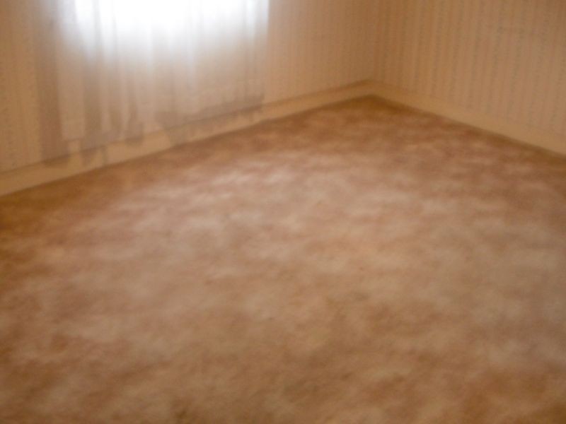 51 The Avenue, Canley Vale NSW 2166