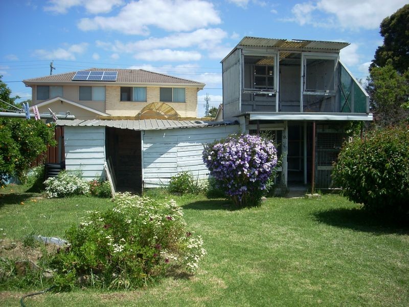 51 The Avenue, Canley Vale NSW 2166