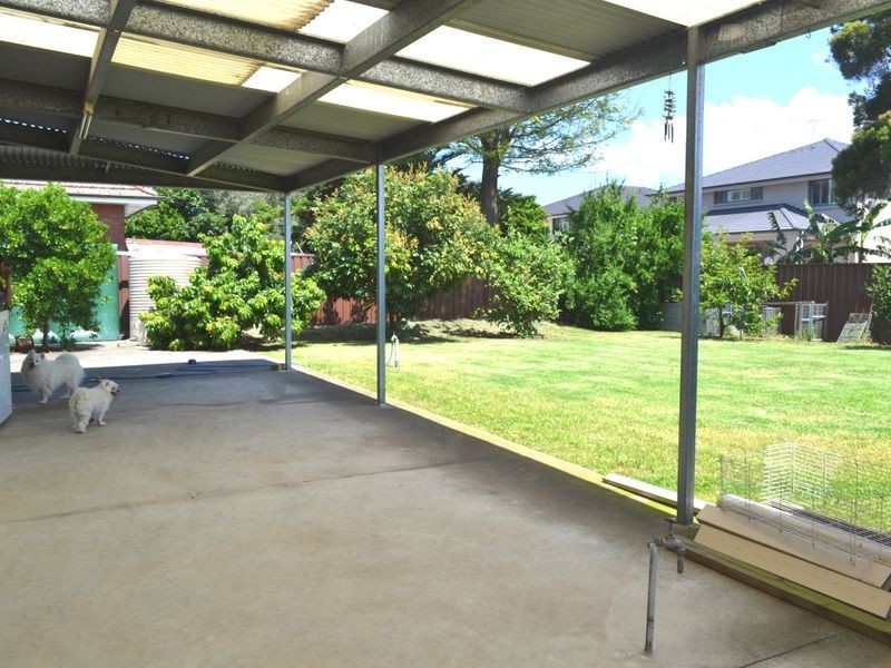 117 Delamere Street, Canley Vale NSW 2166