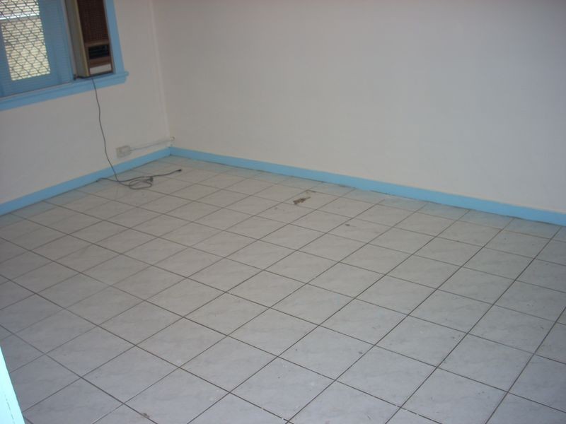 12 Phelps Street, Canley Vale NSW 2166