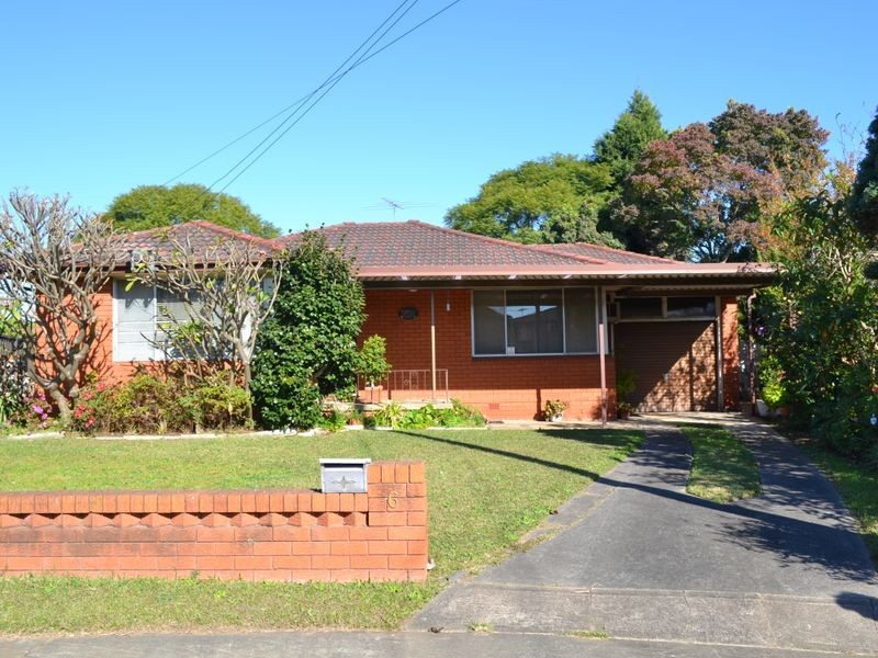 6 Page Place, Cabramatta NSW 2166