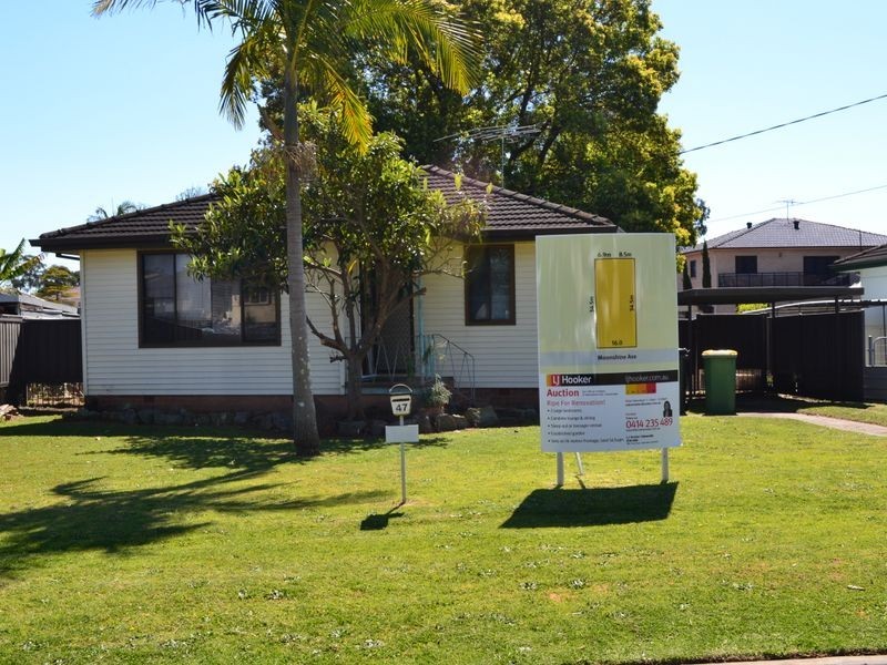 47 Moonshine Avenue, Cabramatta NSW 2166