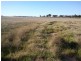 Alleena NSW 2671