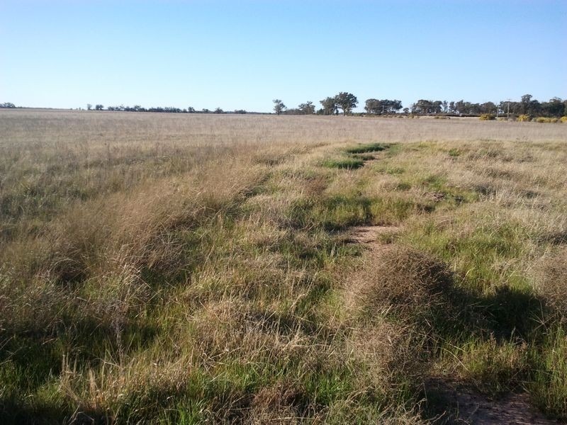 Alleena NSW 2671