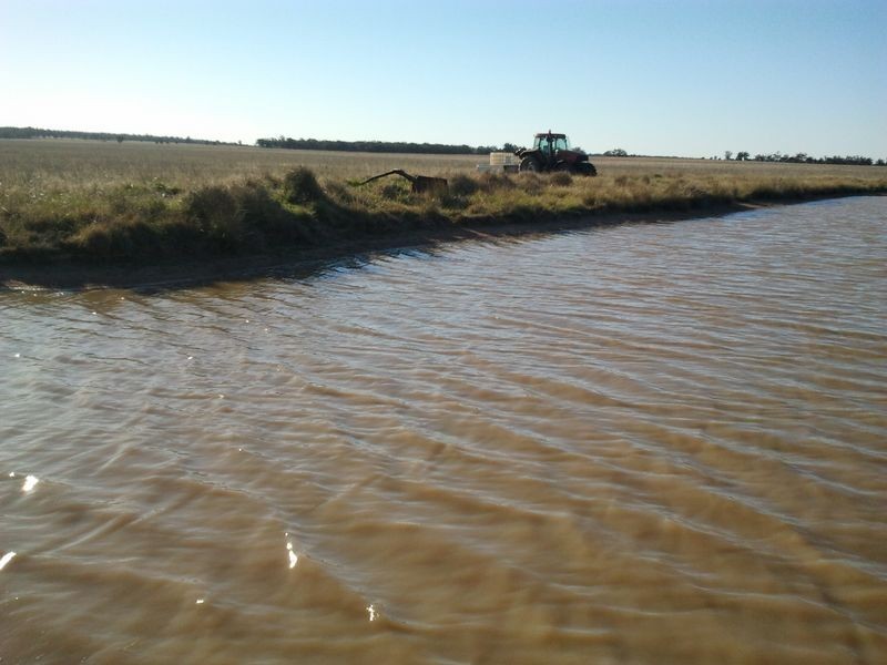 Alleena NSW 2671