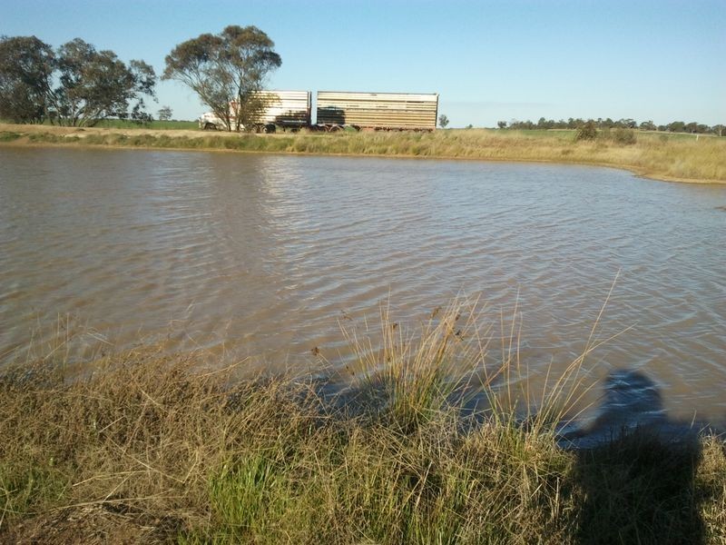 Alleena NSW 2671