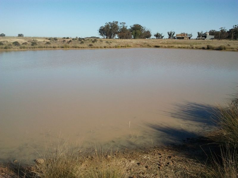 Alleena NSW 2671