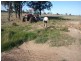 Alleena NSW 2671