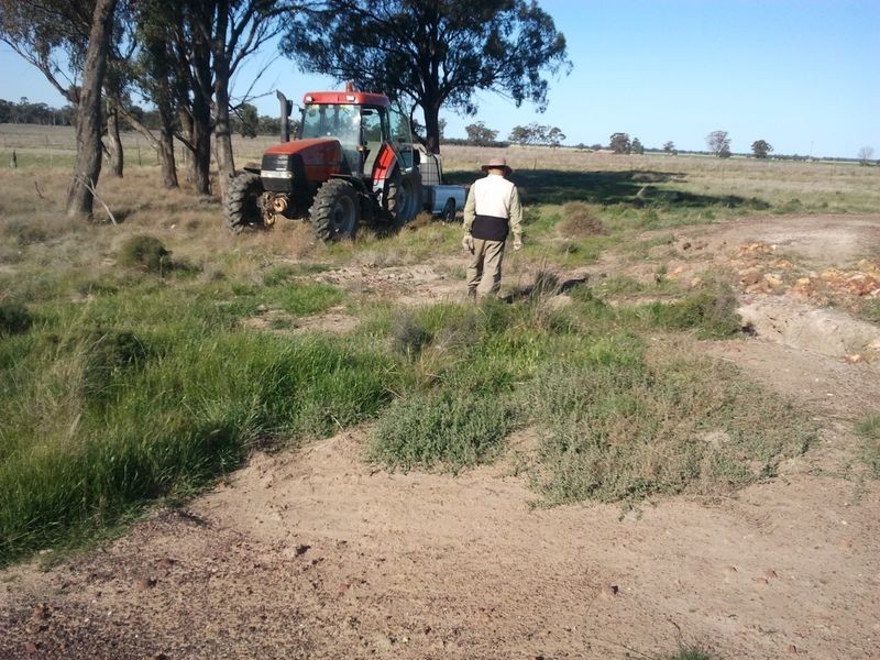 Alleena NSW 2671