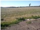Alleena NSW 2671