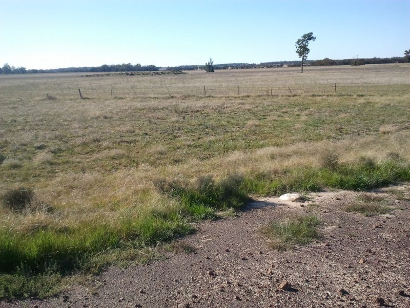 Alleena NSW 2671