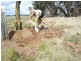 Alleena NSW 2671
