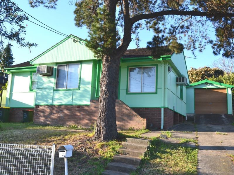 3 Cabramatta Avenue, Miller NSW 2168