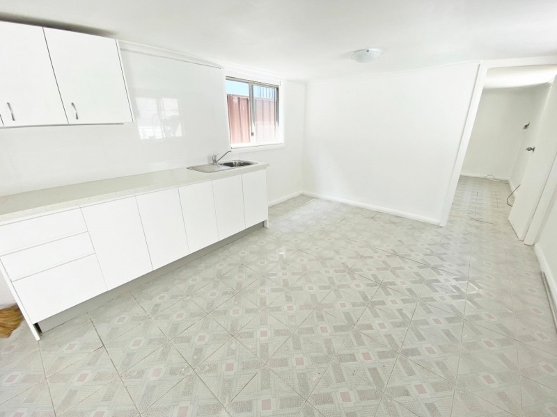 93B Beckenham St, Canley Vale NSW 2166