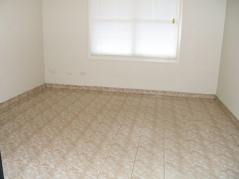 12 Gilbert Street, Cabramatta NSW 2166