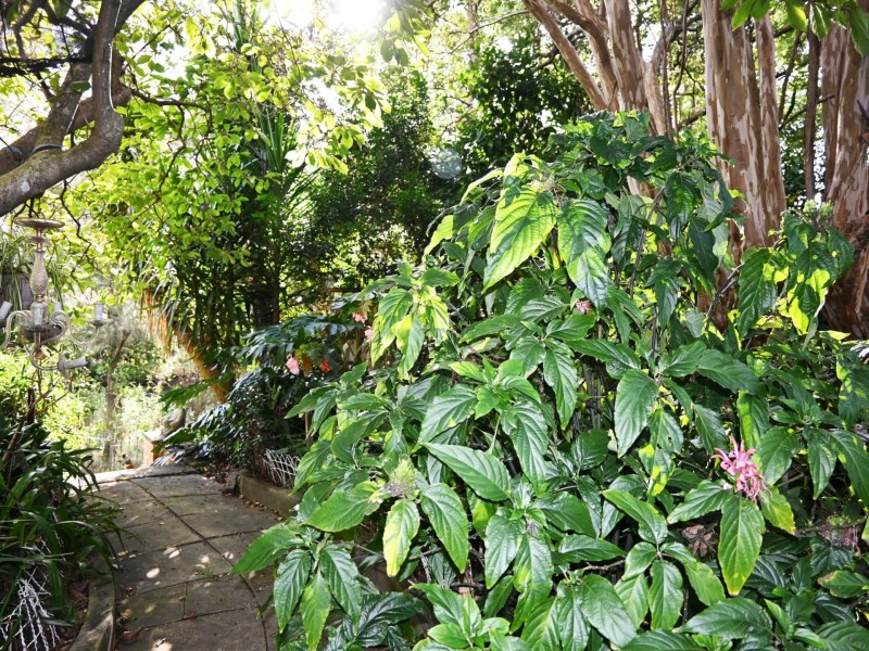 115 Mitchell Street, Carramar NSW 2163