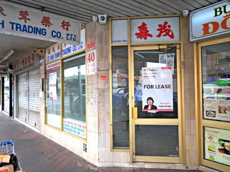 4/9 Hughes Street, Cabramatta NSW 2166