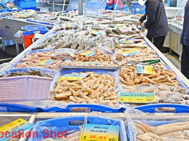 18/47 Park Rd, Cabramatta NSW 2166