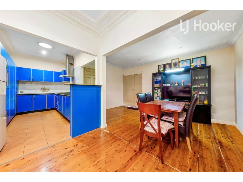 39 Alick St, Cabramatta NSW 2166