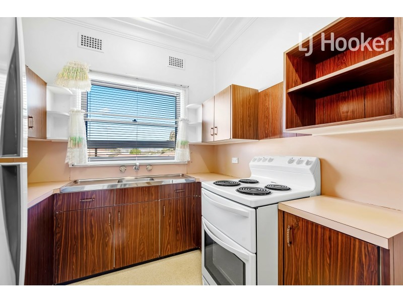 5 Aladore Ave, Cabramatta NSW 2166