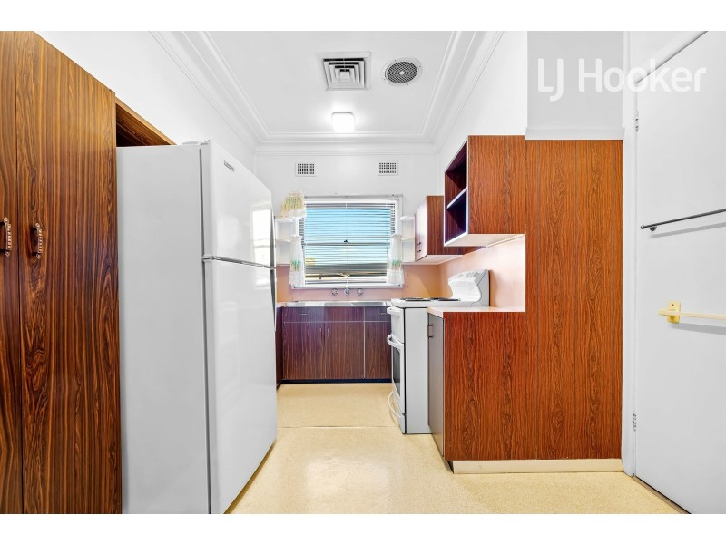 5 Aladore Ave, Cabramatta NSW 2166