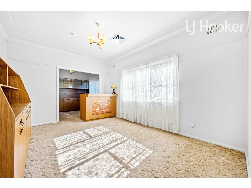 5 Aladore Ave, Cabramatta NSW 2166