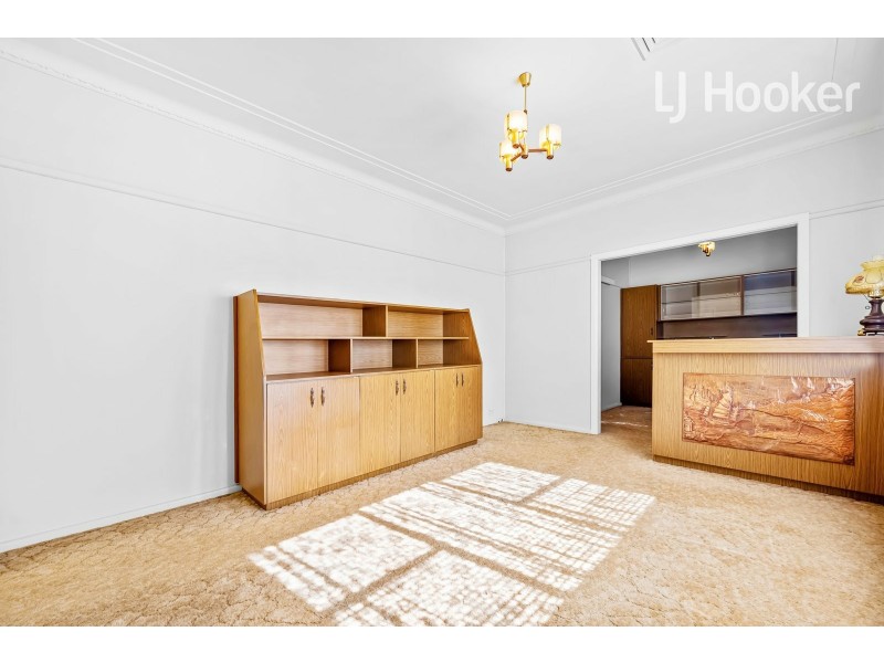 5 Aladore Ave, Cabramatta NSW 2166