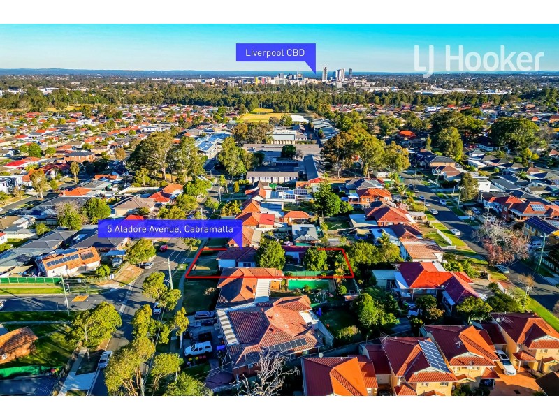 5 Aladore Ave, Cabramatta NSW 2166