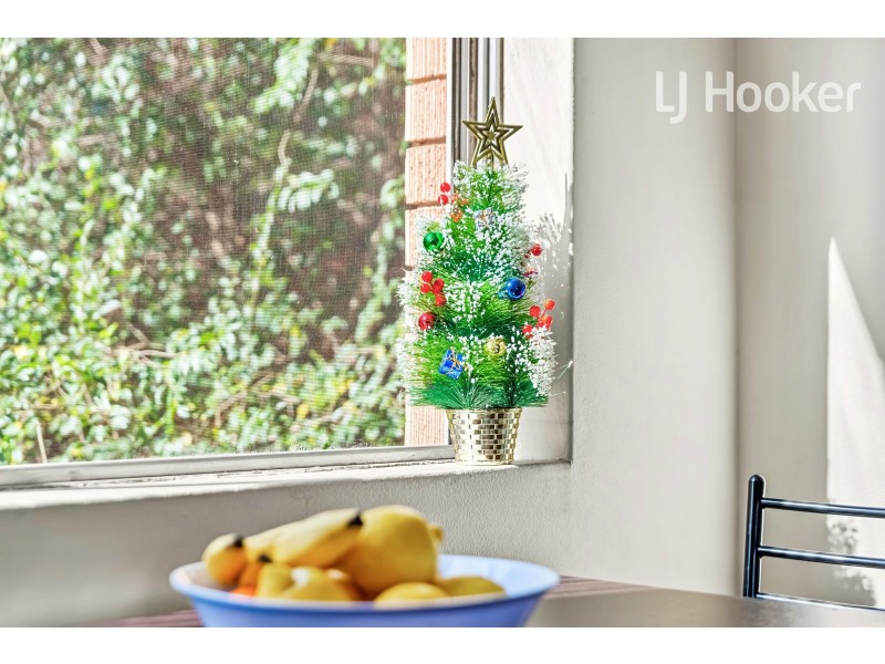 1/118 Cabramatta Rd East, Cabramatta NSW 2166