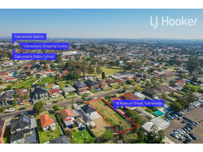 18 Roebuck St, Cabramatta NSW 2166