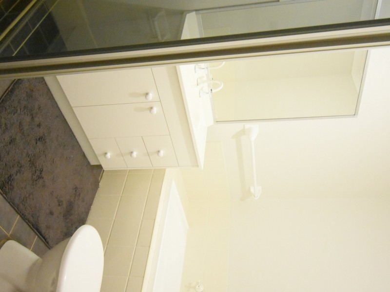 5A Mcilvenie Street, Canley Heights NSW 2166