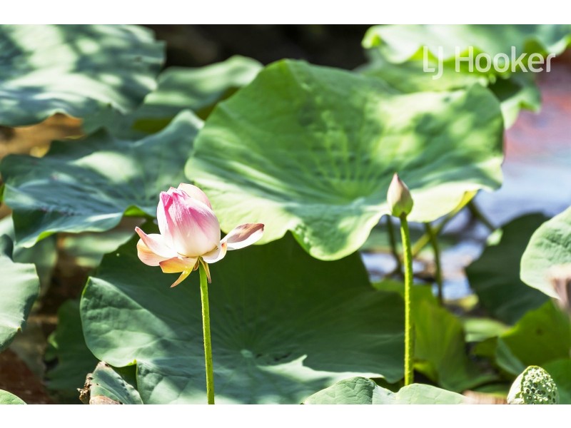 62 – 70 Cobham St, Horsley Park NSW 2175