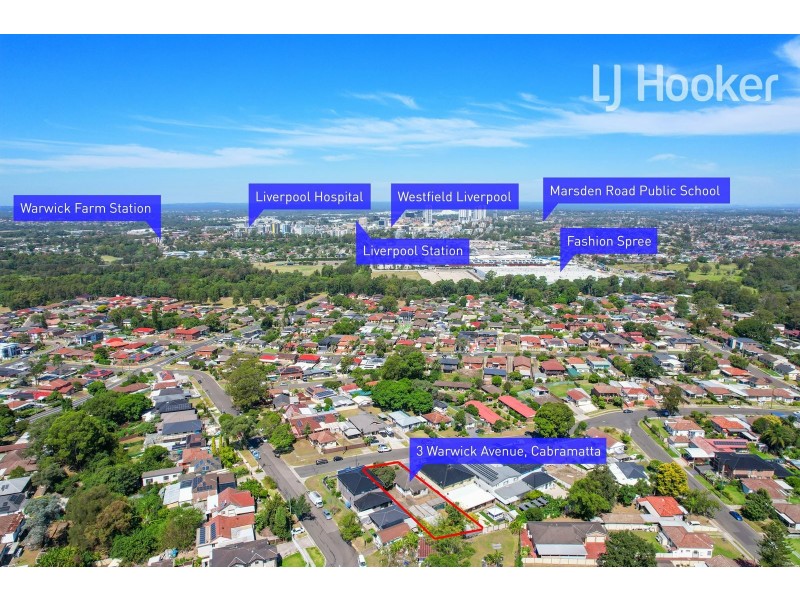 3 Warwick Ave, Cabramatta NSW 2166