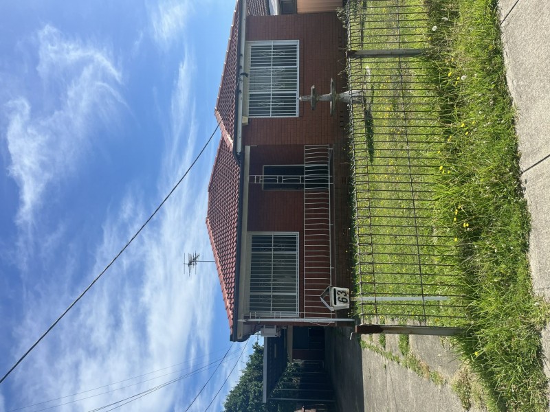 63 Wyong St, Canley Heights NSW 2166