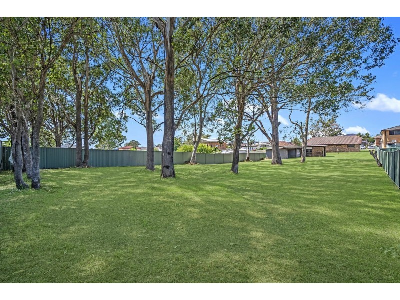 316 Elizabeth Drive, Mount Pritchard NSW 2170