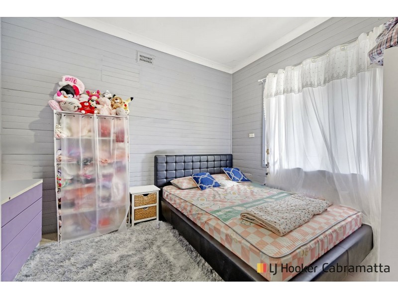 197 Canley Vale Road, Canley Heights NSW 2166