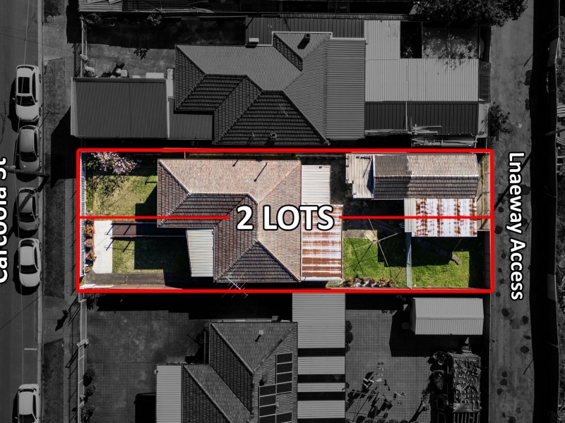 163 Carcoola Street, Canley Vale NSW 2166