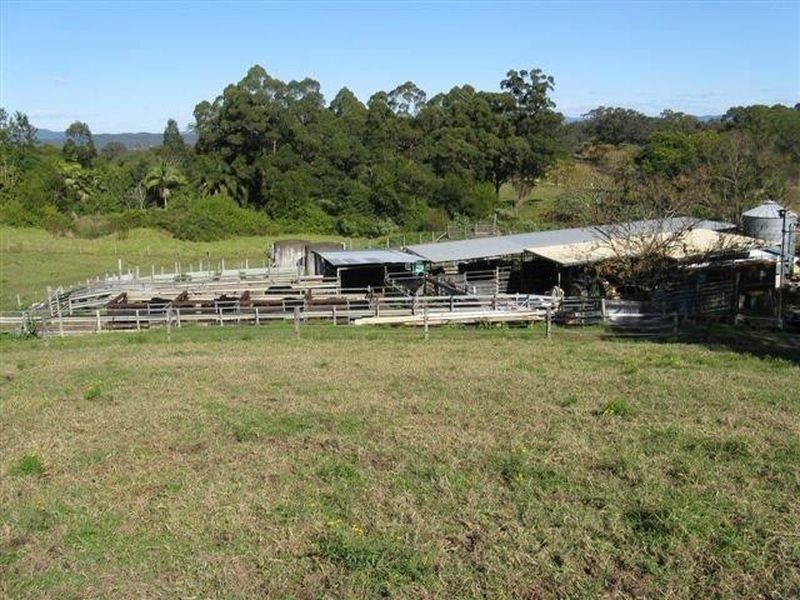 245-249 Wrights Land, Dyers Crossing NSW 2429