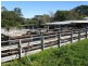 245-249 Wrights Land, Dyers Crossing NSW 2429