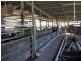 245-249 Wrights Land, Dyers Crossing NSW 2429