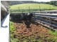 245-249 Wrights Land, Dyers Crossing NSW 2429