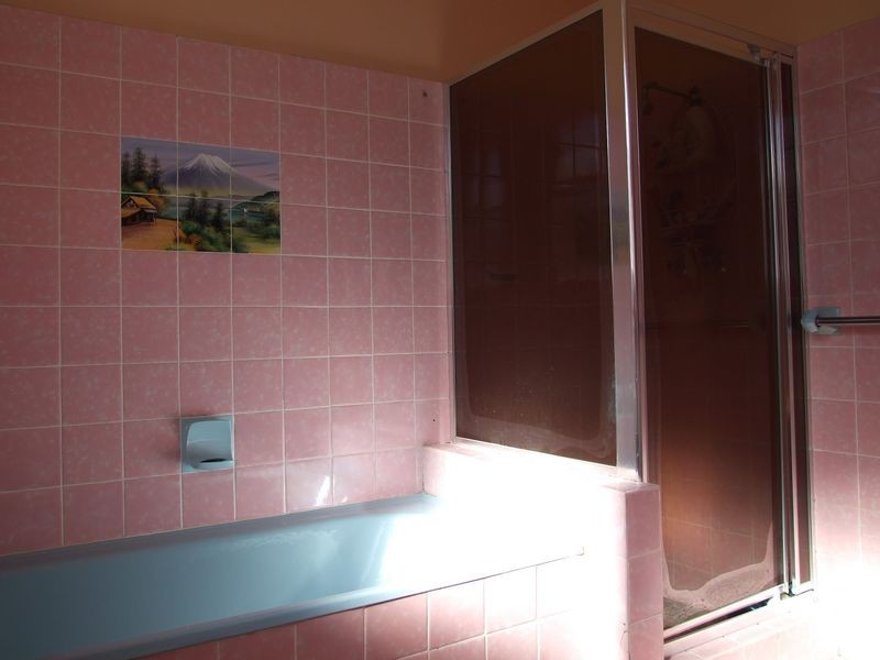 45 Lime Street, Cabramatta NSW 2166