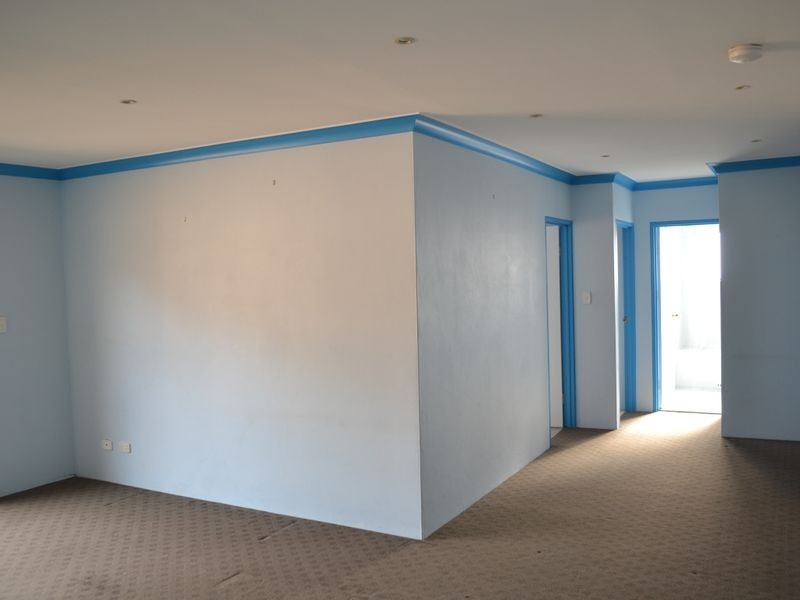 Canley Vale NSW 2166